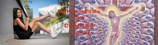 тгк Кукмор