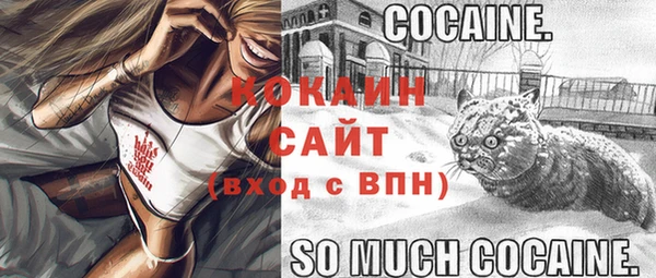 шишки Лагань