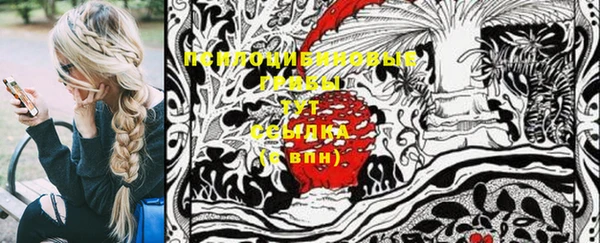 тгк Кукмор