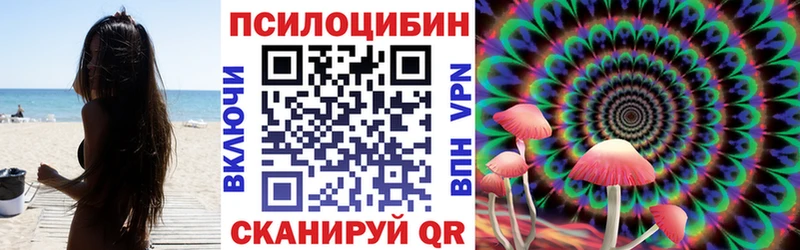 Псилоцибиновые грибы Psilocybe  mega ссылка  Павловская 